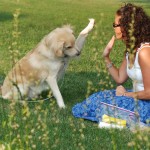 estate planning attorney