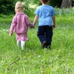 rochester estate planning lawyers