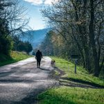 legacy planning