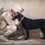 veterans pension