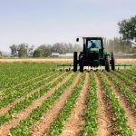 Conservation Easements Can Be A Good Solution
